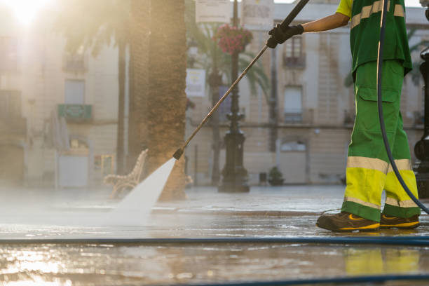 Best Graffiti Removal  in South Monrovia Island, CA